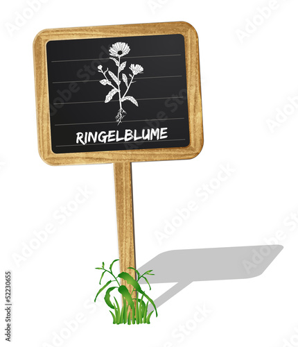 Ringelblume Heilkräuter Vektor