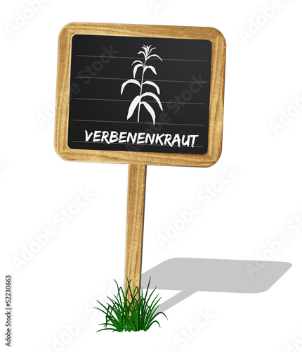 Verbenenkraut Heilkräuter Vektor