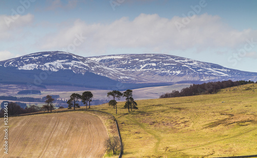 Fotografie Cheviot Hills, Northumbria, UK