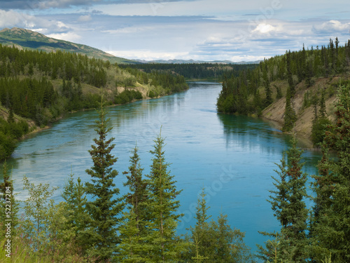 Fototapeta Naklejka Na Ścianę i Meble -  Yukon River north of Whitehorse Yukon T Canada