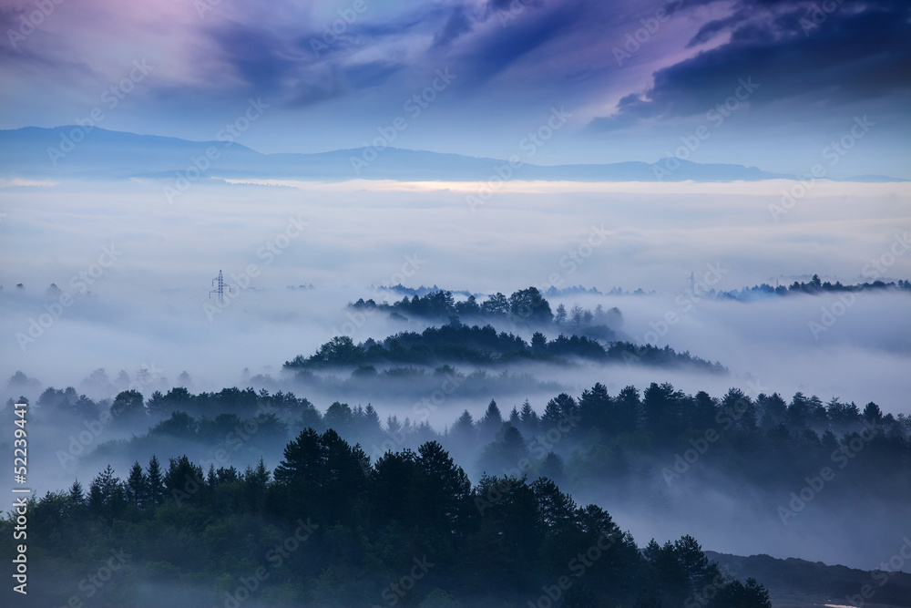 Obraz premium landscape and mist