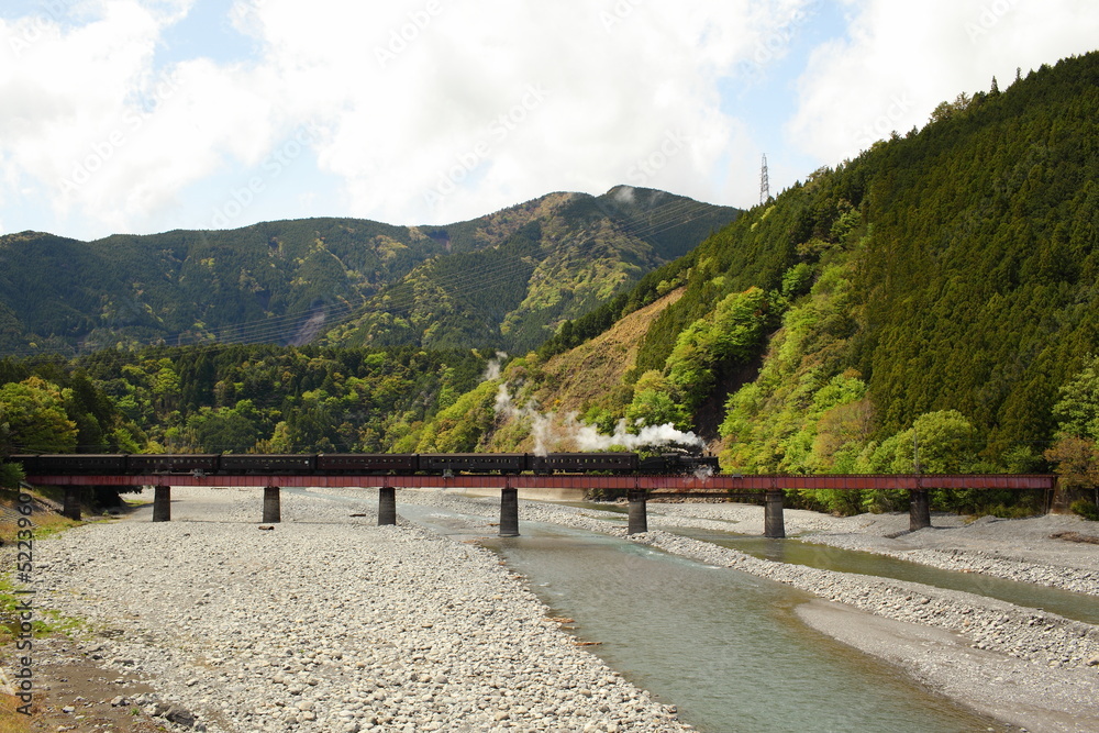 Steam Train is Crossing a Bridge