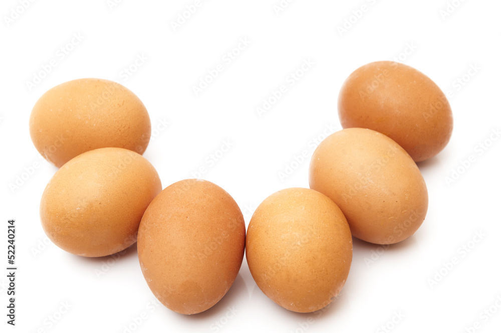 chicken eggs chicken eggs
