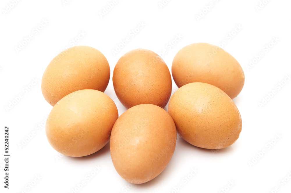 chicken eggs chicken eggs
