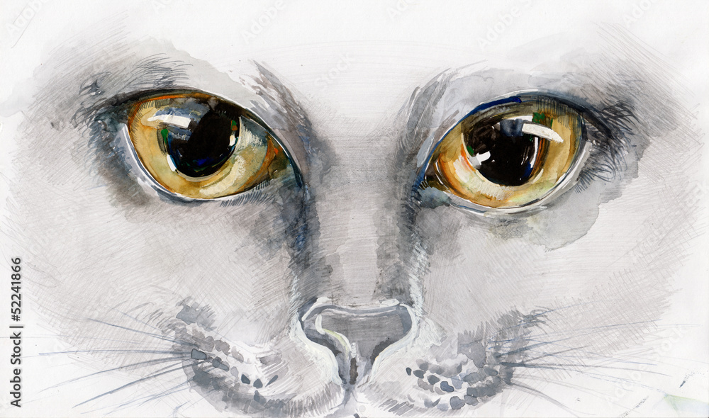 Obraz premium cat eyes