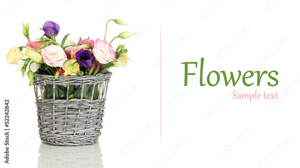 Obraz premium Beautiful bouquet of bright wildflowers in pot isolated