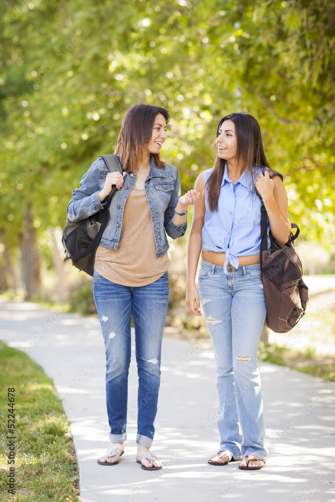 Fototapeta premium Young Adult Mixed Race Twin Sisters Walking Together