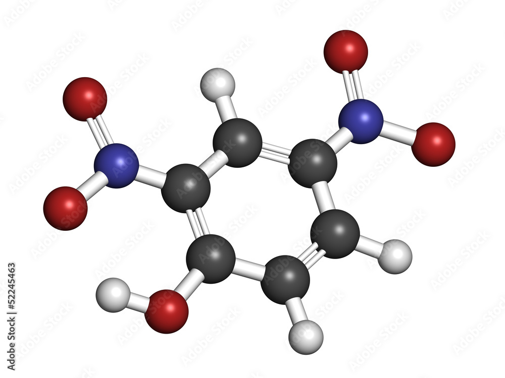 2,4-Dinitrophenol (DNP), molecular model