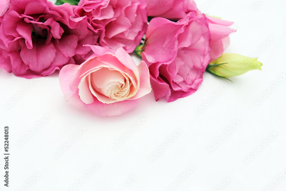 トルコキキョウの花 Stock Photo Adobe Stock トルコキキョウの花 Stock Photo Adobe Stock