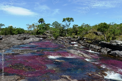 Canio Cristales mountain river. Colombia photo