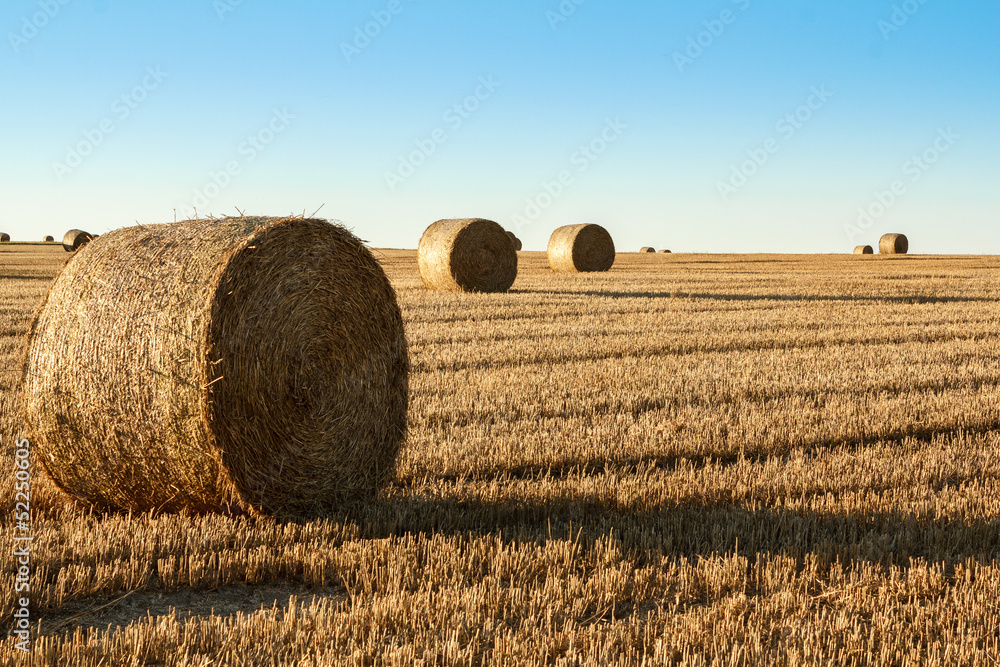 hay bale in the foreground of rural field