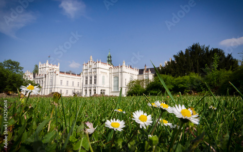 Slika na platnu Castle park with flowers