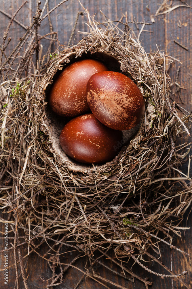 Easter eggs in natural nest on wooden background