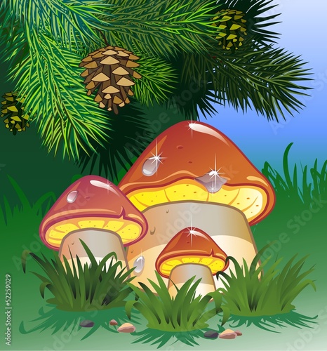 Mushroom
