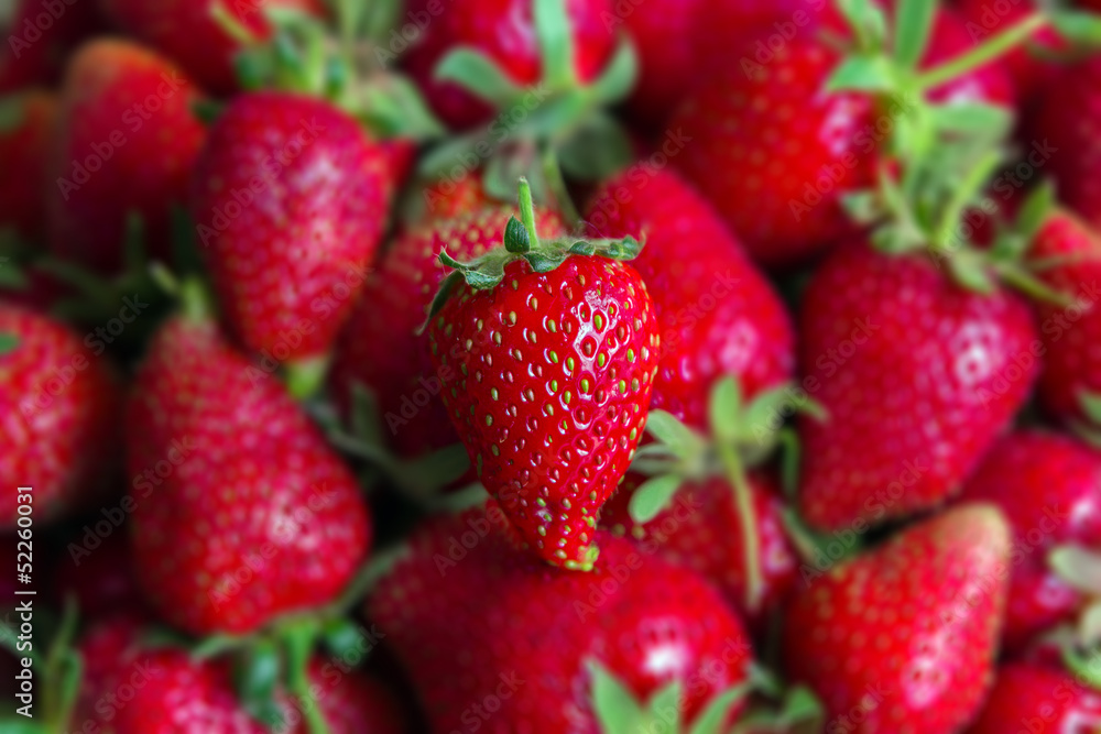 Fragola Bio Fragola Bio