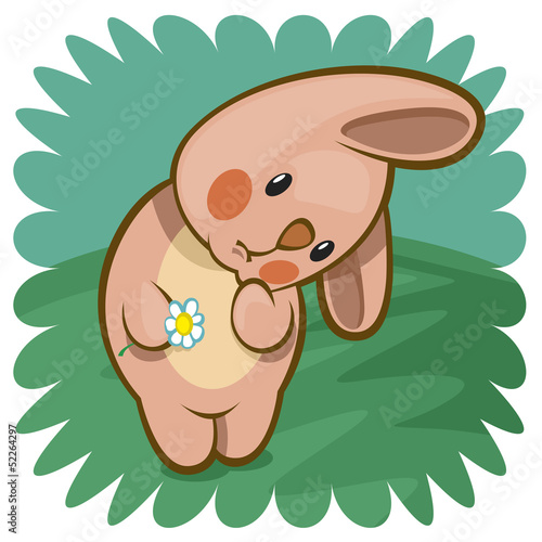 bashful bunny with flower