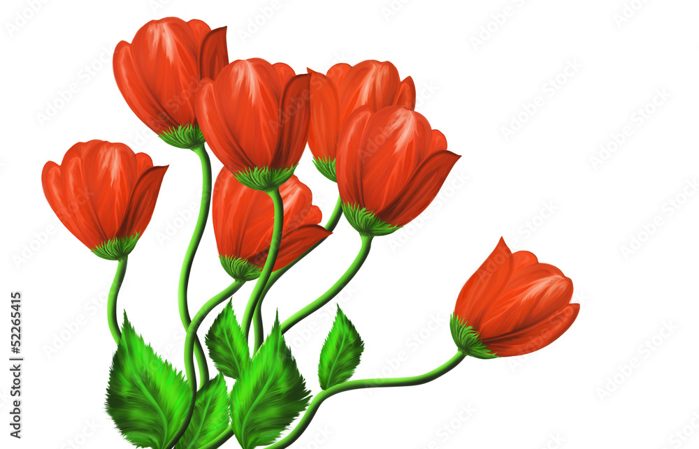 Red flowers on a white background Red flowers on a white background