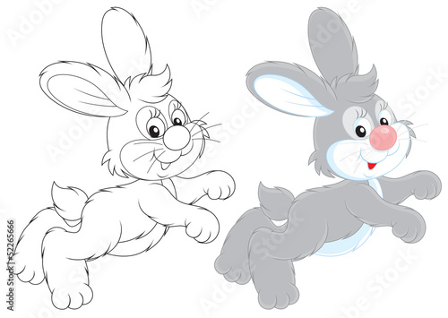 Hare