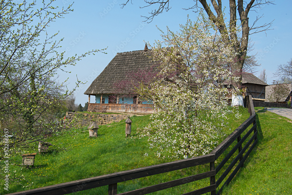 Fototapeta premium Village house in Ukraine