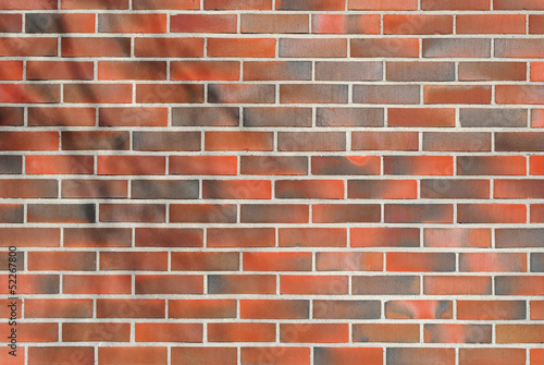Fulvous brick wall.