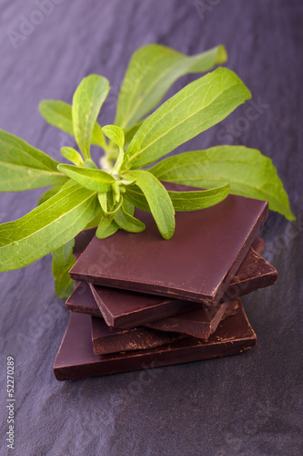 stevia as ingredient for chocolate bar
