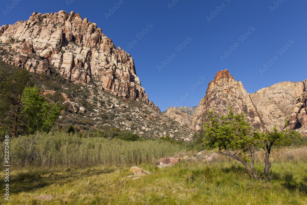 Colorful mountains and a grass meadow in spring time. Colorful mountains and a grass meadow in spring time.
