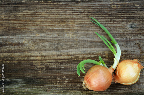 Onions on old board