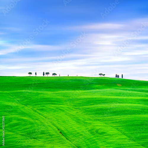 Tuscany  cypress trees and fields. San Quirico Orcia  Italy.