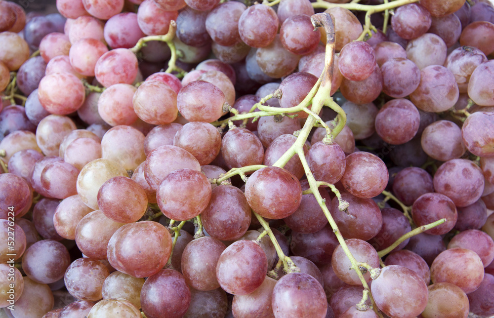 grapes grapes