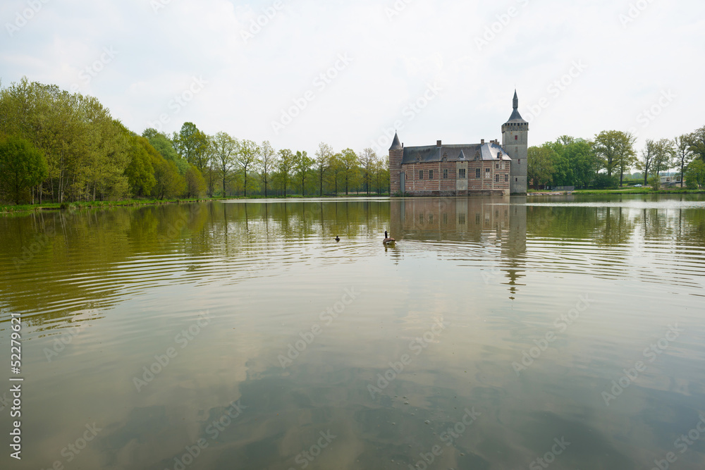 Castle along a lake in spring