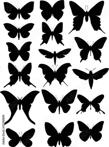 set of seventeen butterfly wings shapes