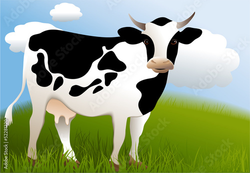 Cow