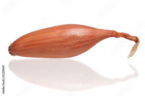 Fotografie Onion shallot