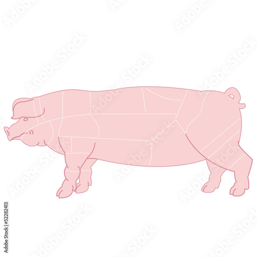 Illustration of scheme cutting pork carcass