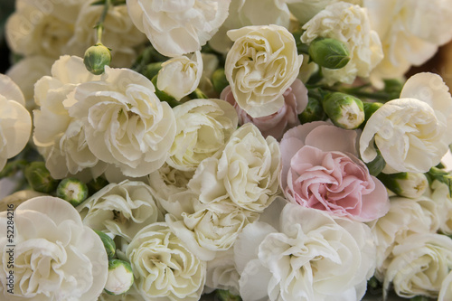 Fiori per sfondo