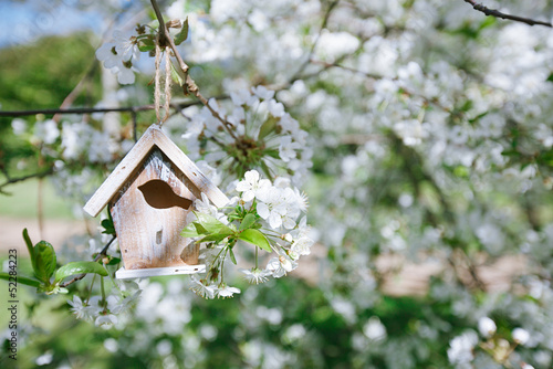 Little Birdhouse in Spring with blossom cherry flower sakura © Elena Moiseeva