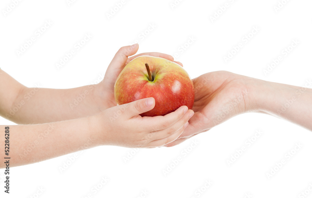 red apple in child and mommy hands red apple in child and mommy hands