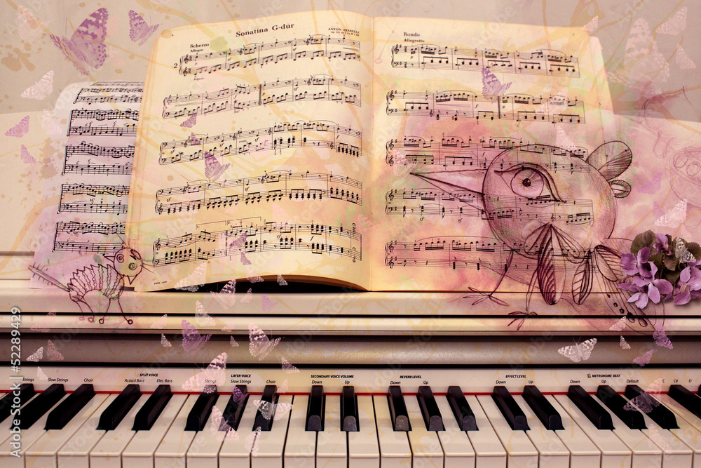 Naklejka premium Sonatina