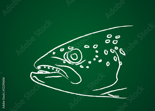 poisson : saumon