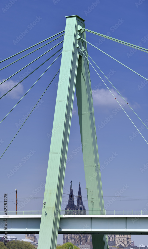 Fototapeta premium Köln-Rhein #60