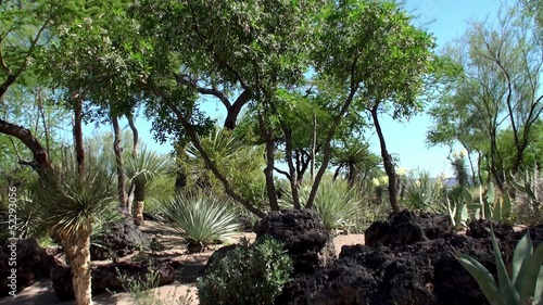 Ethel M Botanical Cactus Gardens photo