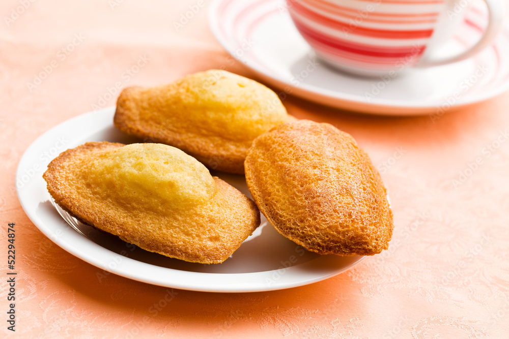 sweet madeleine cookies