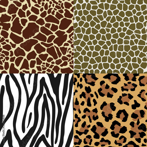 Animal Skin Patterns
