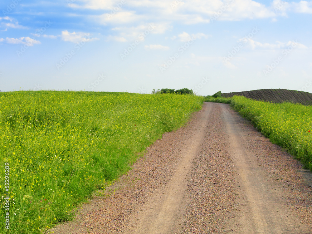 Summer landscape with green grass, road and clouds Summer landscape with green grass, road and clouds