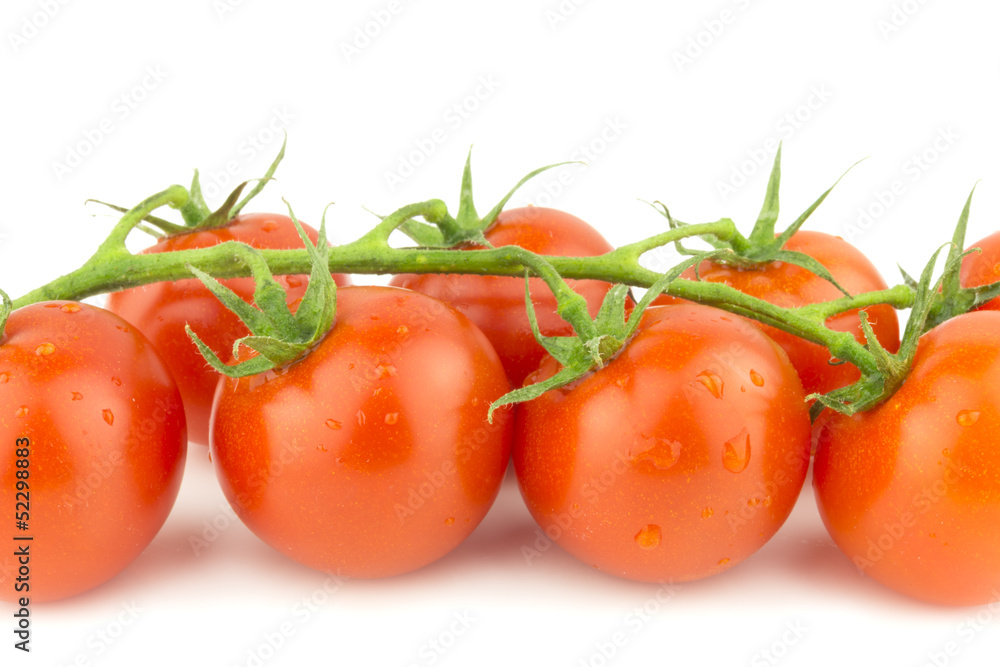 Bunch of Fresh Cocktail Tomatoes on White Background Bunch of Fresh Cocktail Tomatoes on White Background