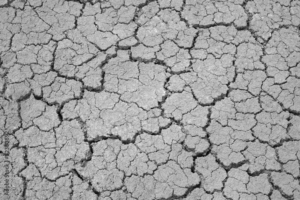 Dry soil background Dry soil background