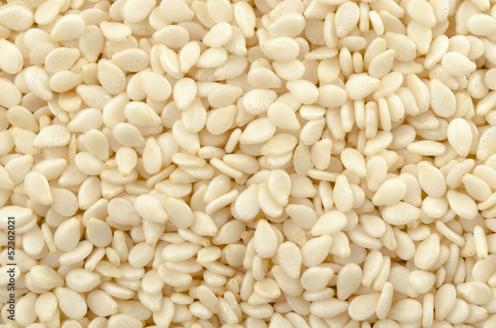 Close up of white sesame seeds Close up of white sesame seeds
