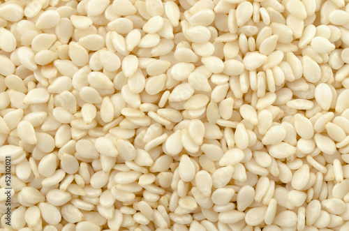 Close up of white sesame seeds