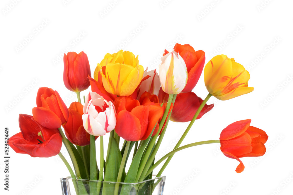 Macro colorful tulips in a vase Macro colorful tulips in a vase