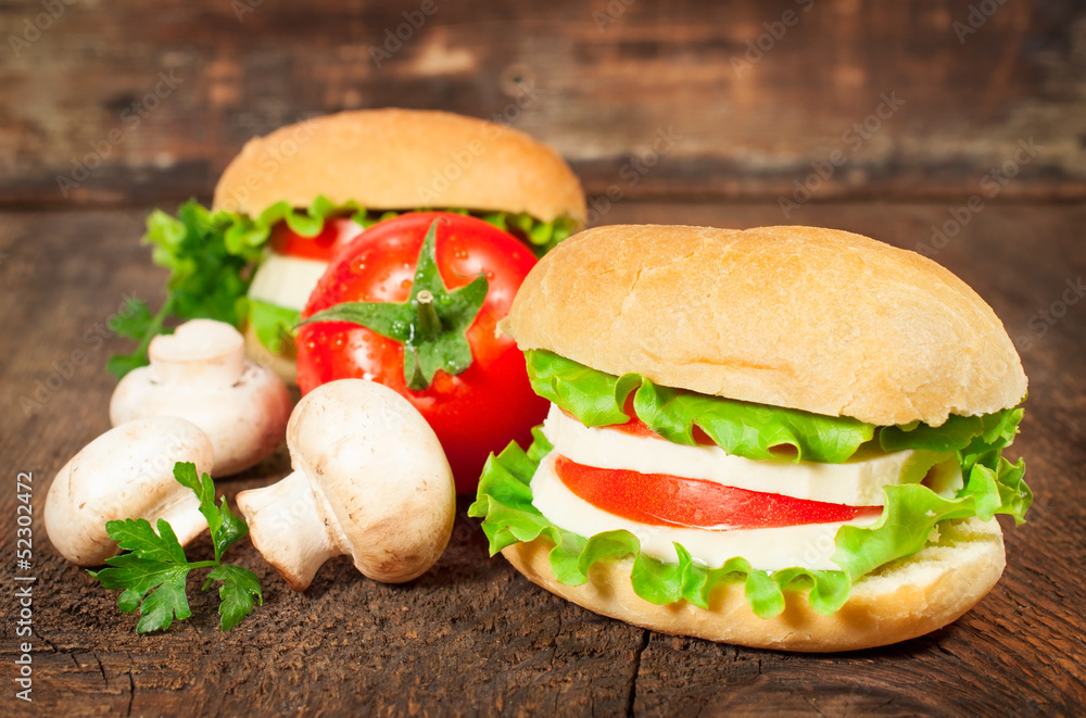 vegetarian sandwich with fresh tomatoes and cheese vegetarian sandwich with fresh tomatoes and cheese